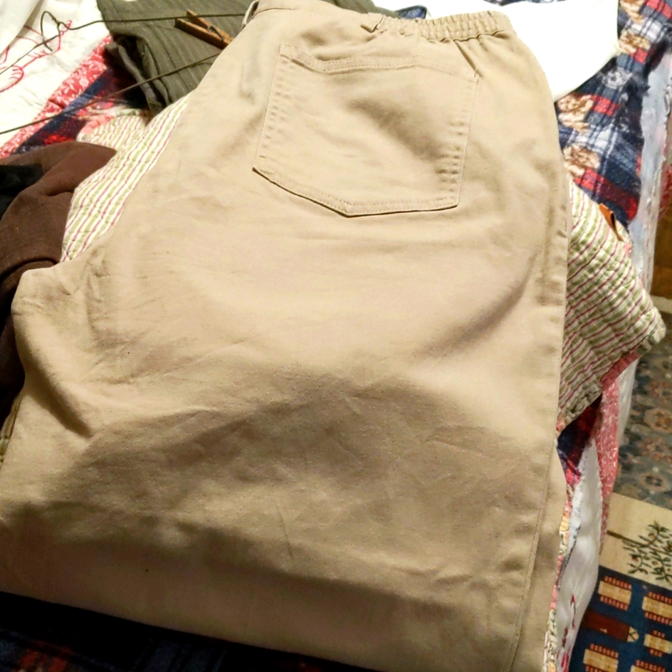 Ruby Red Khakis Size 12